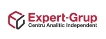 rt-expert-group-logo-final